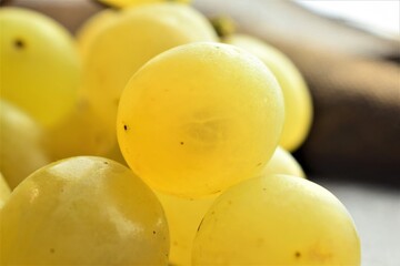 Macro, bunch of yellow grapes, with backlight and rustic fabric