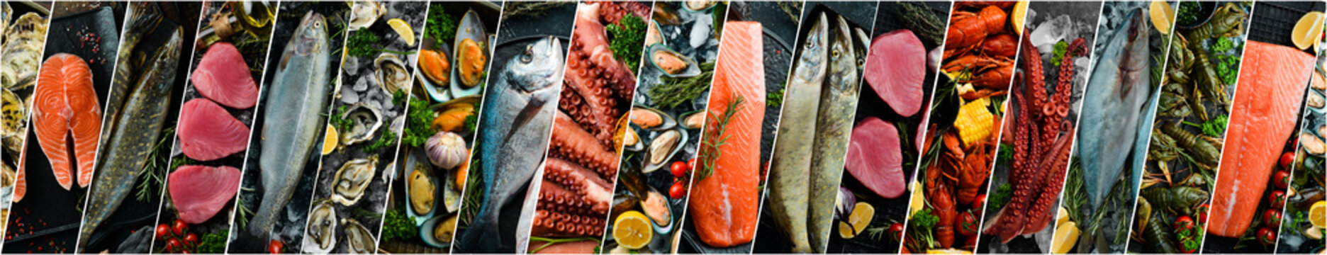 Collage of photos of seafood. Fresh fish and seafood. The concept of healthy eating.