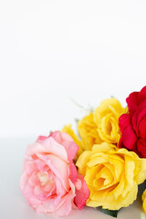 pink, red and yellow roses flat lay against a white background