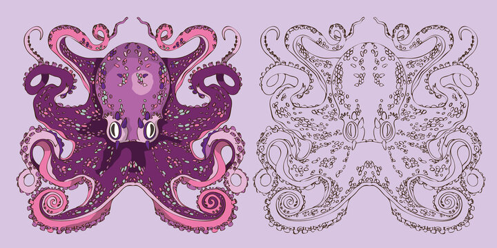 vector coloring book with sea octopus pattern