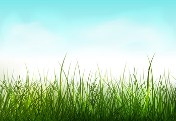 Fototapeta na wymiar Green grass seamless border. Spring background with grass and clouds in the blue sky. Nature Template for the spring, easter season, sale flyer. 