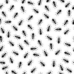 Ants vector illustration