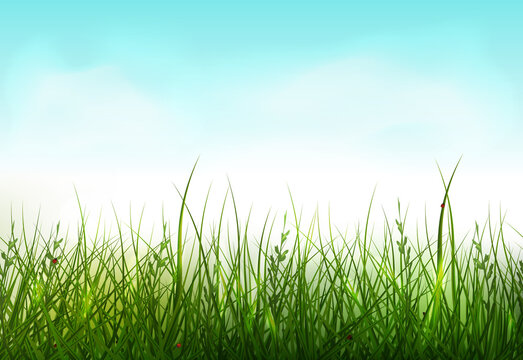 Green grass seamless border.  Spring background with grass and 
clouds in the blue sky. Nature Template for the spring, easter season, sale flyer.
