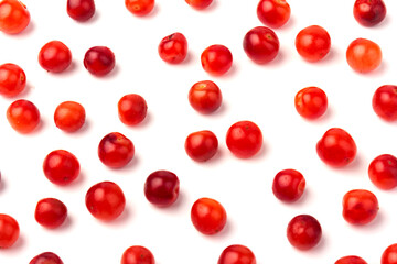 Nanking or felted cherry fruits, isolated on  white background