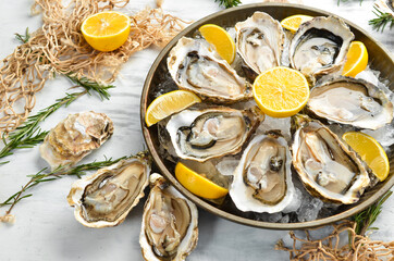 Fresh opened oysters in a plate with ice and lemon. Free space for your text. Seafood. Flat lay.