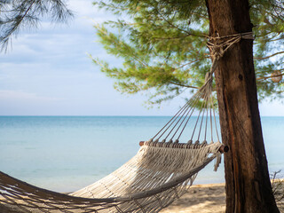 The hammock hung on the tree. On the background are the sea and the beach.