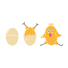Chick hatching stage. Happy yellow baby chicken, doodle colorful baby birds in different poses, poultry farm cute creature, cartoon minimalistic style collection easter symbol vector flat isolated set