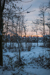 winter sunset in the forest