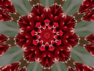 Abstract red floral kaleidoscope background