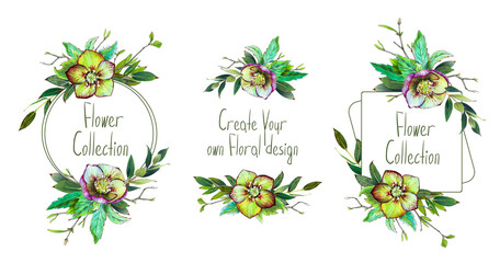 Floral frames set. Helleborus flower. Wedding invite, bouquets