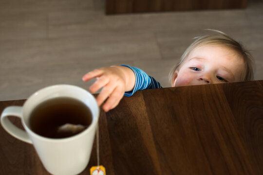Little child try to grab cup of hot tea on the table. Attention hot content and danger in the kitchen concept.