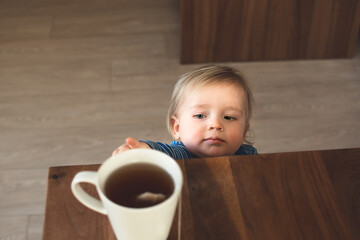 Little child try to grab cup of hot tea on the table. Attention hot content concept.