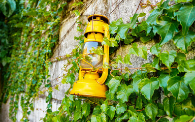 Old yellow oil lamp on a gray brick wall with green creeper plant.