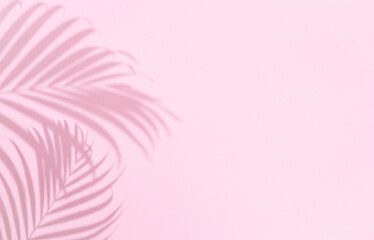 Fototapeta na wymiar Shadow of tropical palm tree leaf on pink background, copyspace. Minimal summer concept