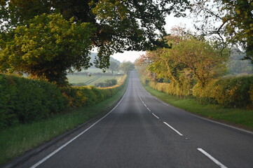 Naklejka premium Road in the countryside