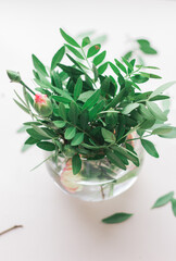 green twigs and flowers in a glass vase on a light background