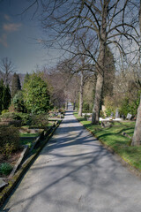 breiter Hauptweg auf einem Friedhof