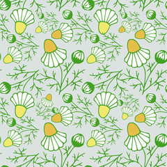 Chamomilla seamless pattern. Yellow white flower on grey botanical art design stock vector illustration for web, for print, for fabric print