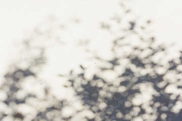 white snow background