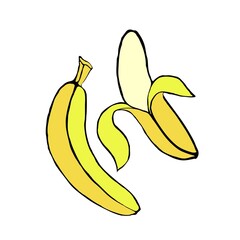 Two bananas isolated on a white background, tropical fruit, sweet ripe banana, vector illustration in doodle style, hand draw.