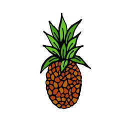 Pineapple with green leaves, ripe tropical fruit, exotic product, vector illustration in doodle style, hand draw.