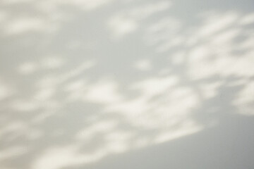 white clouds in the sky