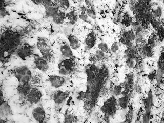 Schneematsch auf den Straßen und Wegen