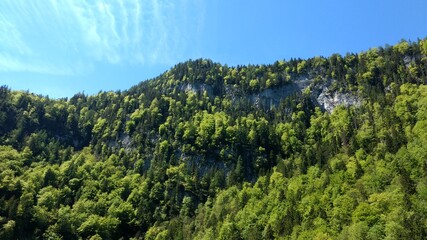 Obraz premium Germany