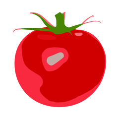 Low-level vector of a type of tomato
