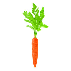 Low-level vector of a carrot