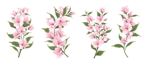 Obraz na płótnie Canvas Vector set of sakura branches. Flowers on a white background. Pink sakura.