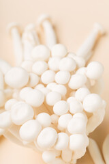 White beech mushrooms or Shimeji mushroom on pastel beige paper background.