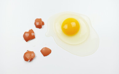 One raw chicken egg with yellow yolk and clear white egg in three layers and broken eggshell in pieces isolated on white background with clipping path. The largest cell in the world.
