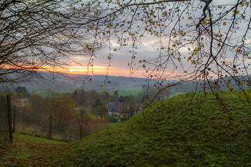 Fototapeta premium morning in the forest
