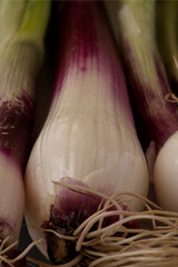 fresh onions from Tropea, Italy