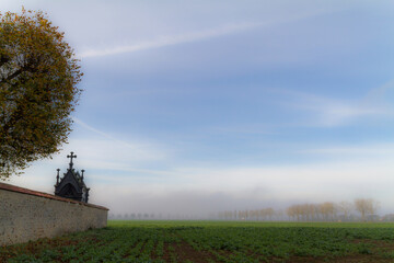 Fototapeta premium windmill in the field