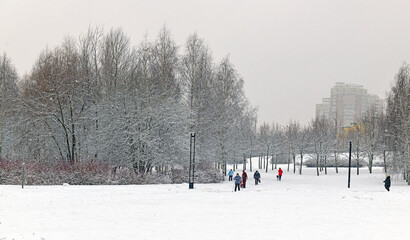 Winter landscape. Snowfall in Mitino Landscape Park. Moscow, Russia