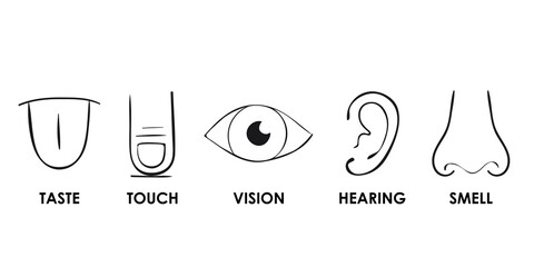 Set of simple five human feelings. Five Senses Body Parts Mouth or lips, hand and nose, eye and ear icons, sight and smell, touch, hearing and taste senses – stock vector
