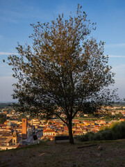 Pietrasanta a typical medieval town of Tuscany
