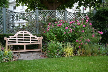 Bench and rose bush in a garden