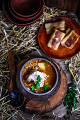 traditional Russian cabbage soup from sauerkraut.style rustic