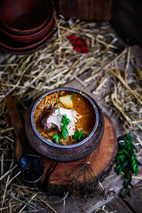 traditional Russian cabbage soup from sauerkraut.style rustic