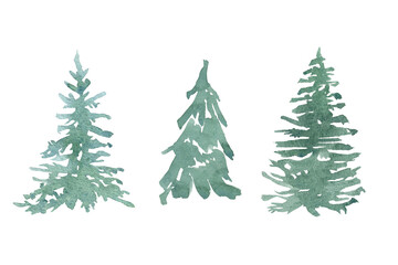 watercolor clipart of pine trees, sketch of spruce, cedar, pine. Evergreen trees for cards, logos, invitations, posters
