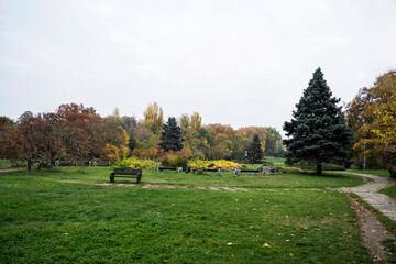 Fototapeta na wymiar Autumn landscape in Herastrau park, Bucharest, Romania.