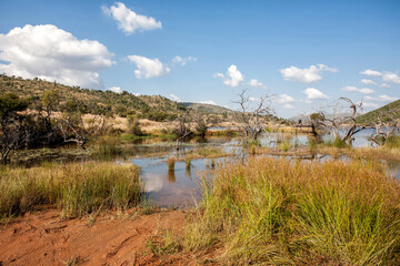 Landscape in the Pilanesberg National Park with Mountains and Lakes iin South Africa