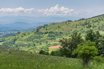 Obraz premium landscape with trees