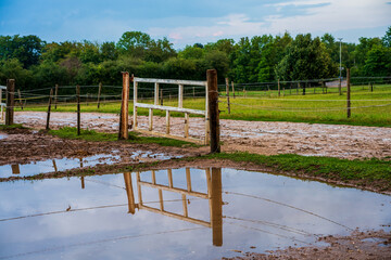 large rain puddle on a cattle pasture.