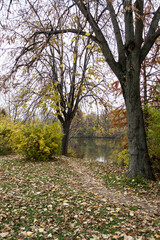 Autumn landscape in Herastrau park, Bucharest, Romania.