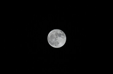 full moon in the night . Moon is an astronomical body that orbits planet Earth, and is Earth's only permanent natural satellite