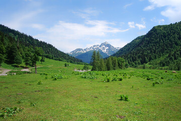 Fototapeta na wymiar Abkhazia.A clearing high in the mountains, the snow-capped peaks of the mountains.